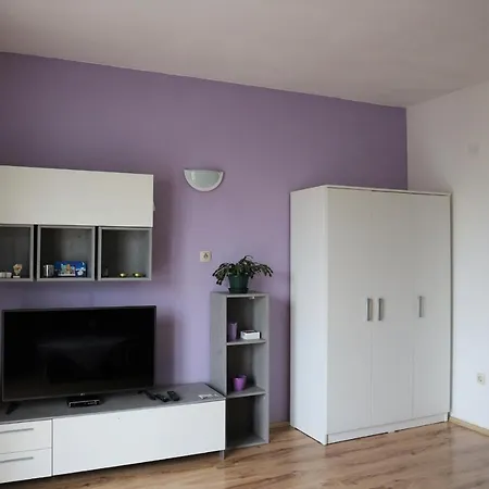 Apartman Loncarevic *